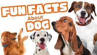 25 Fun Facts About Dogs for Kids! 🐾 Learn Amazing Dog Facts!