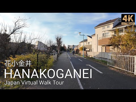 Tokyo Suburbs Walk | From Hana-Koganei Station to Koganei Park and Back | Relaxing Ambience | 4K HDR
