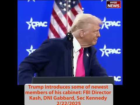 SBA Chief: 90% Working from Home, 'That Ends Monday'; Leavitt to Acosta: 'At Least I Have a Job'