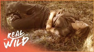 Hero Horse Rescues Trapped Rider | Pet Heroes | Real Wild