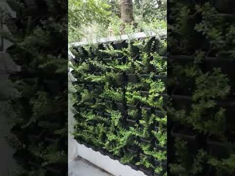 How To Make Vertical Garden || Natural Vertical Garden For Home || Do It Yourself #howtomake #diy