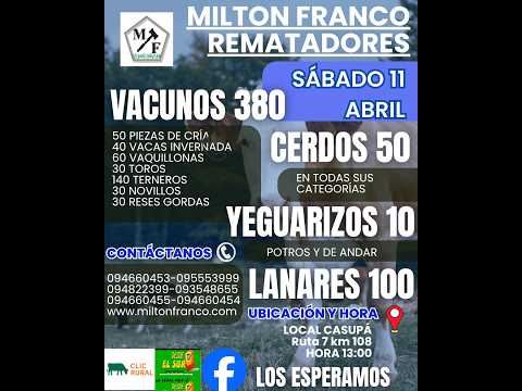 10/4/2026 Local Casupá - Florida - Feria mensual - Milton Franco | Clic Rural