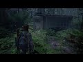 The Last Of Us 2 Glitch