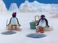 Pingu S03e18 Pingu And The Fishing Competition