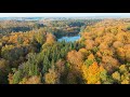 Herbst Wald Entspannung Mit Sanfter Klaviermusik Flug über Bunte Wälder Durch Fallende Blätter