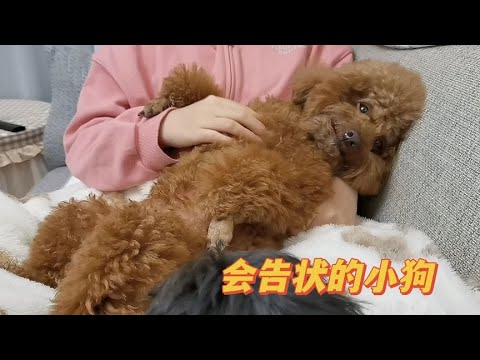 買房樓層