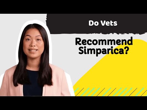 Do Vets Recommend Simparica? A Vet's Guide to Simparica