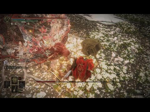 Elden Ring - Malenia (Black Steel Greathammer | Deflection Guardcounter Build)