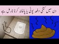 How Many Poops A Day Is Normal In Urdu Potty Pakhana