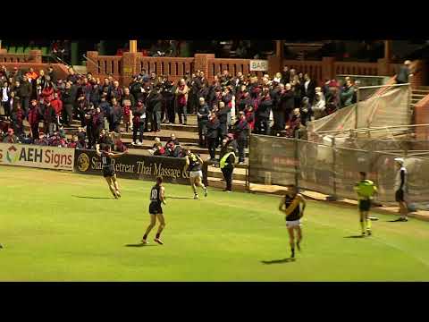 Round 1 RAA Rookie - Will Gould (Glenelg) - Lucindale FC