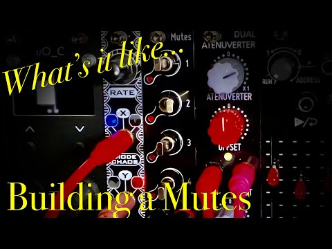 DivKid Mutes from Befaco - DIY Eurorack Modular Kit Build Video