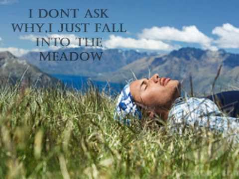 HED PE the meadow lyrics video