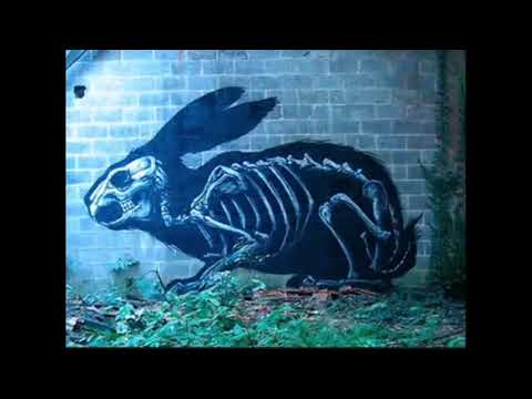 Zgroup  - Le lapin blanc