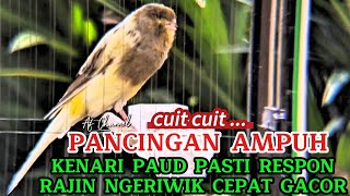 Download lagu SUARA PANCINGAN BURUNG KENARI PAUD BELAJAR BUNYI AGAR RAJIN NGERIWIK CEPAT GACOR mp3 Download lagu SUARA PANCINGAN BURUNG KENARI PAUD BELAJAR BUNYI AGAR RAJIN NGERIWIK CEPAT GACOR mp3