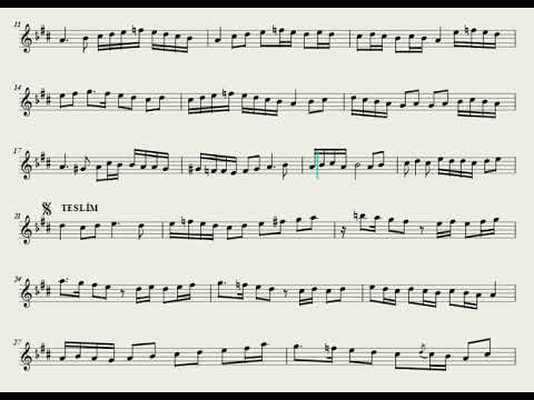 Hicaz Peşrev - Neyzen Salim Bey - 1.Hane ve Teslim (Ahenk: Kız Neyi - B)