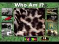 Who Am I From Kids Zoo A Baby Animal Adventure MS DOS Packard Bell Version