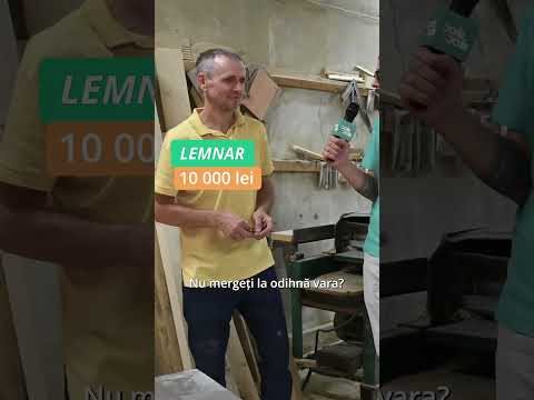 Cât câștigă un lemnar în Republica Moldova?