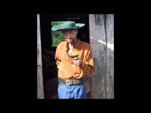 Galo Roxo - Visita na Estancia