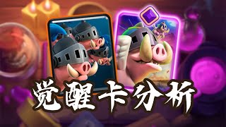 『皇室戰爭』空中霸“猪”！最直观的【進化皇家猪】强度分析！