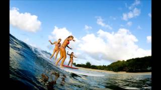 JAN & DEAN   SUMMER MEANS FUN