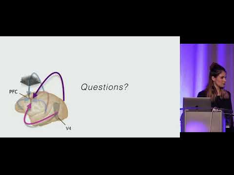 COSYNE 2020 - Session 6