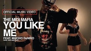 The MIDI Mafia - You Like Me feat Mucho DeNiro (Official Music Video)