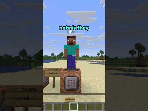 Minecraft Added CUSTOM NPC's without Mods