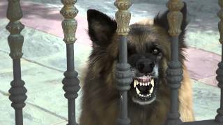 Bangkok Insurance (the version that never aired)