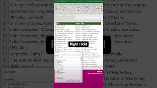 Finding your tab - Excel Xpert tutorial video
