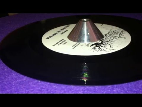 THE SHADES ~ Walk Upon The Winds Dub (JAH BAST  & THE SHADES ~ Who Lay The Foundations, B Side)