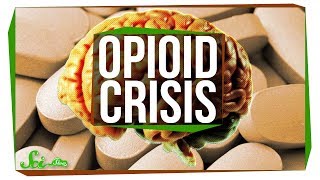 Why Is There an Opioid Crisis?