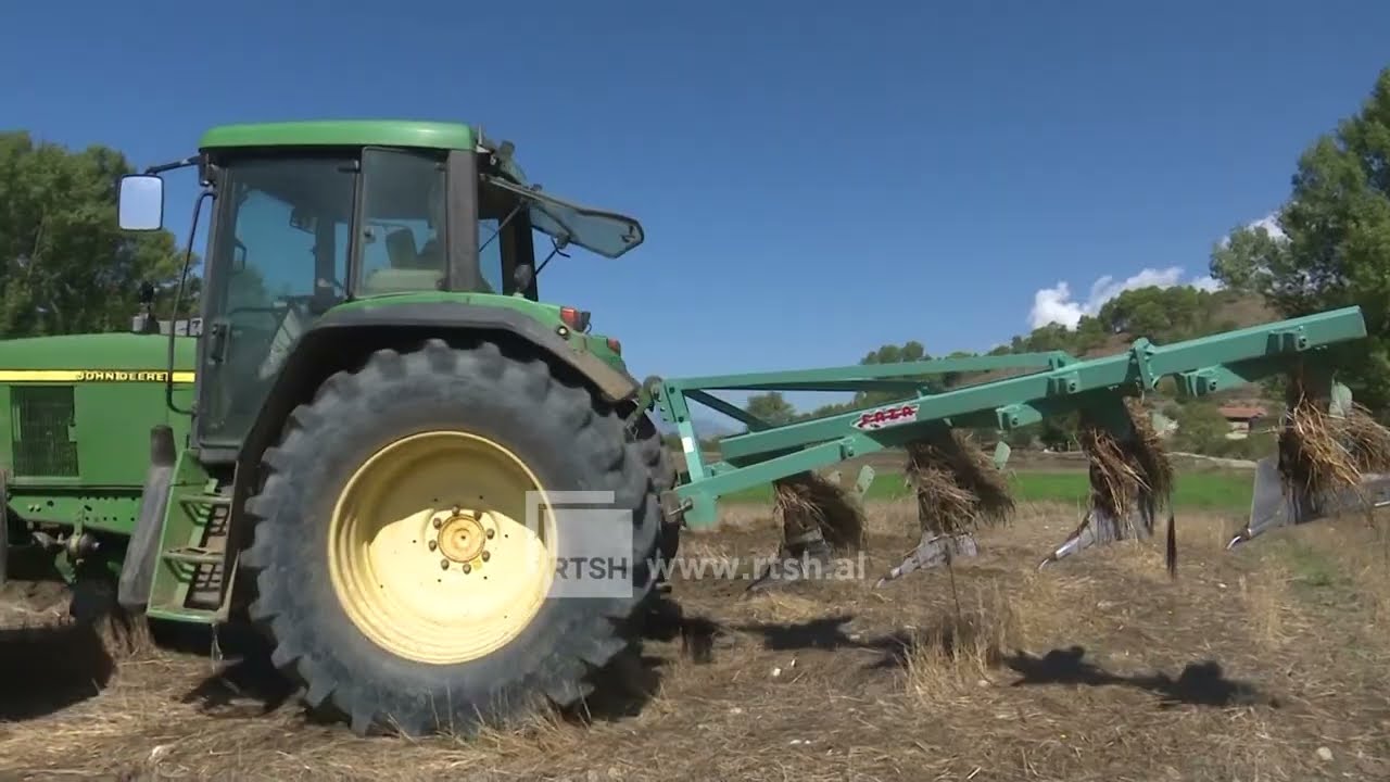 Në Libohovë po korret misër, procesi u vonua për shkak të kushteve klimatike