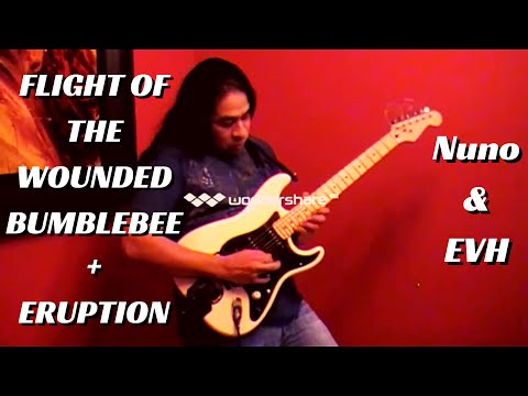 Flight of the Wounded Bumblebee (Nuno Bettencourt) Eruption (Eddie Van Halen) | Mario Aleman