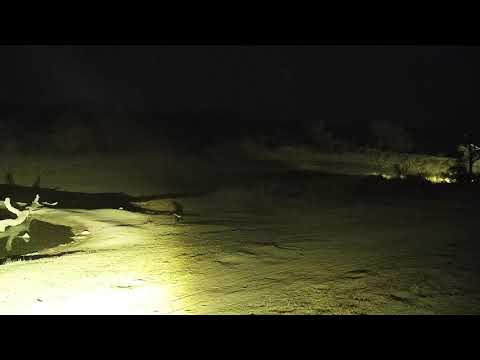 Djuma: Honey Badger - 04:01 - 09/17/19