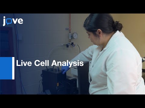 Shear Stress Using Automated Higher-Throughput Microfluidic System l Protocol Preview