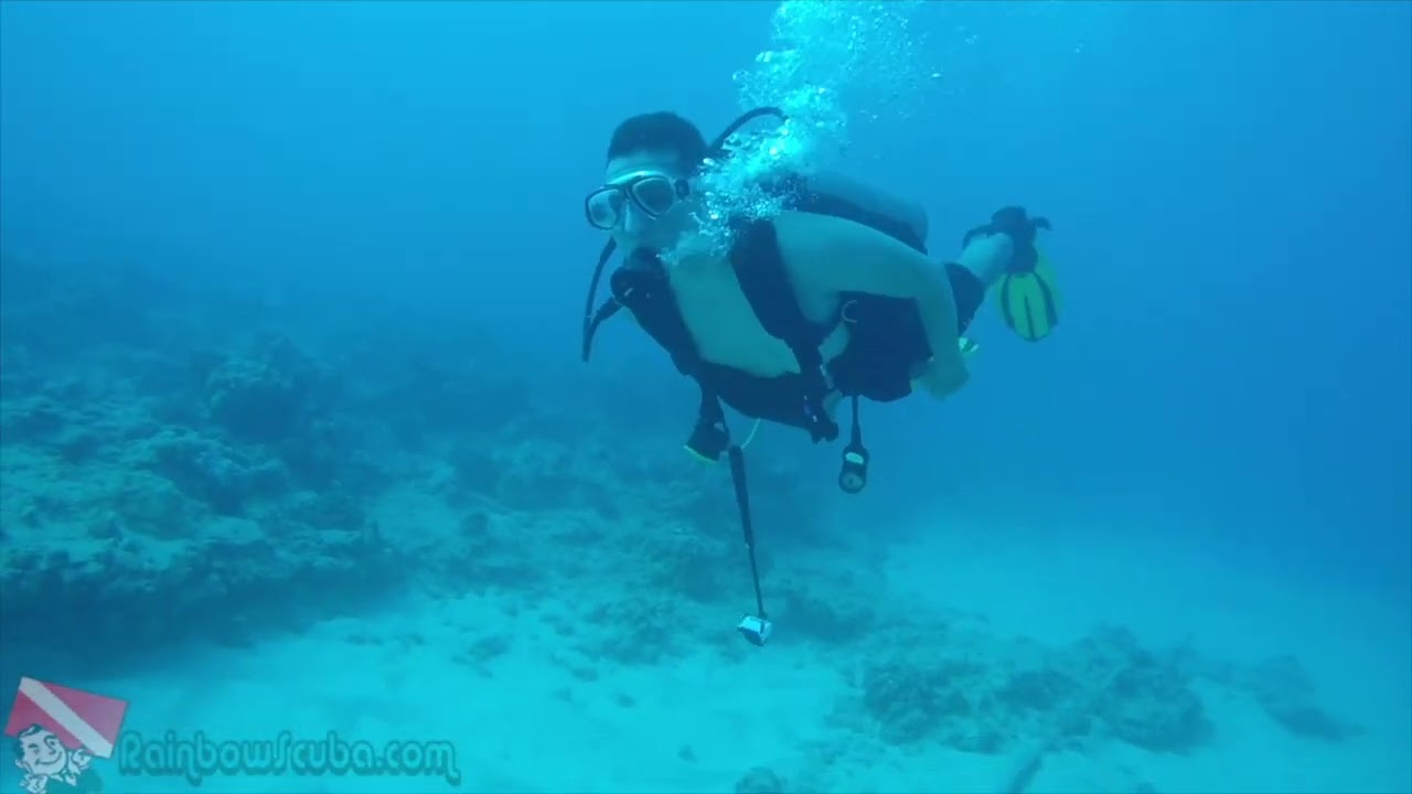 Group preparing on the boat in Honolulu before descending to Kewalo Pipe Reef