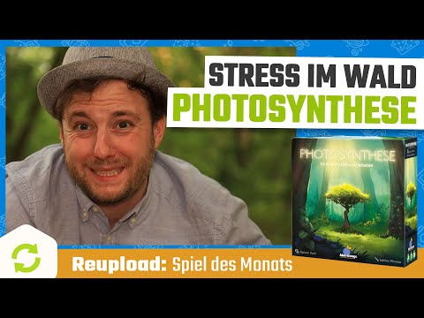 Photosynthese (Blue Orange, Asmodee) | Spiel des Monats Juni 2020 [Reupload]