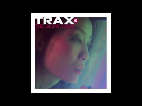 Trax 7 - Airbird & Napolian -- In the Zone