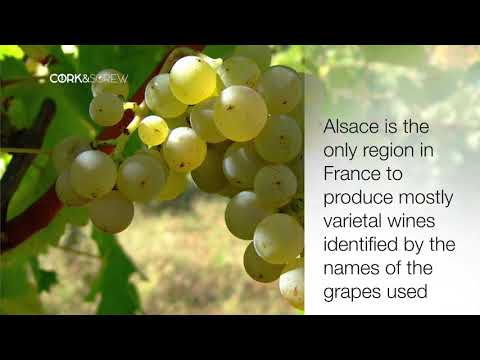 Discovery of Alsace wines with Domaine Schlumberger