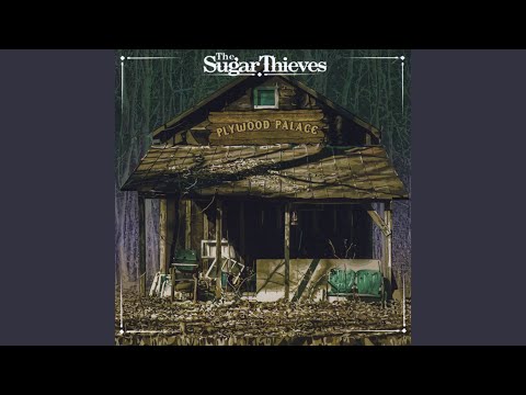 Bear Song - The Sugar Thieves