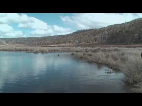 lake Fergus tasmania