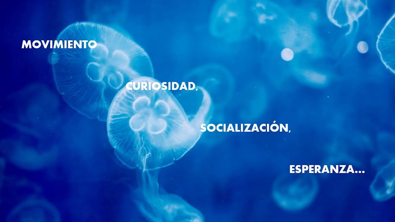 Viajar al Futuro: lecciones de vida desde los 96 años | Rosa Molina | TEDxEAEBusinessSchool