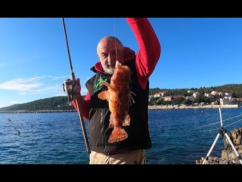 ZIMSKI RIBOLOV FEEDEROM NA OTOKU KORČULI - Ninoslav Žagar