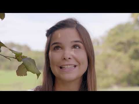 Annas Bäume - Die Hasel