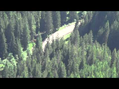 Drumul dinspre Toplița spre Borsec.