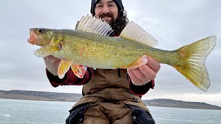 Diefenbaker Walleye's Ice Fishing CHEAP Glide Baits
