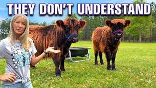 Weaning Our Mini Highland Cows Really Took A Toll....On Us!!