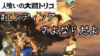 【女子実況】 PS4 #10 『人喰いの大鷲トリコ』ゲーム実況！ The Last Guardian japanse girls game play