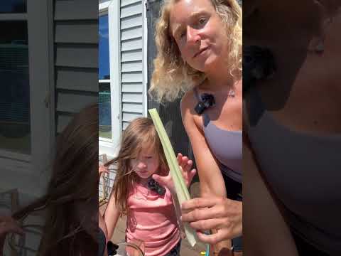 Video Thumbnail for Juicing celery live round 2