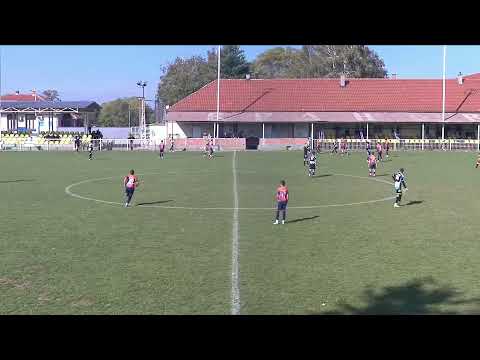FK Petlic Smederevo - FK Apolon 2018, pioniri